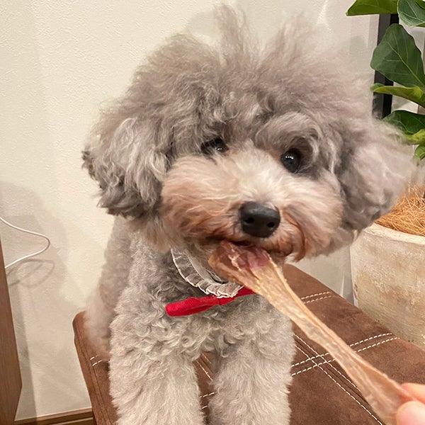 商品イメージ