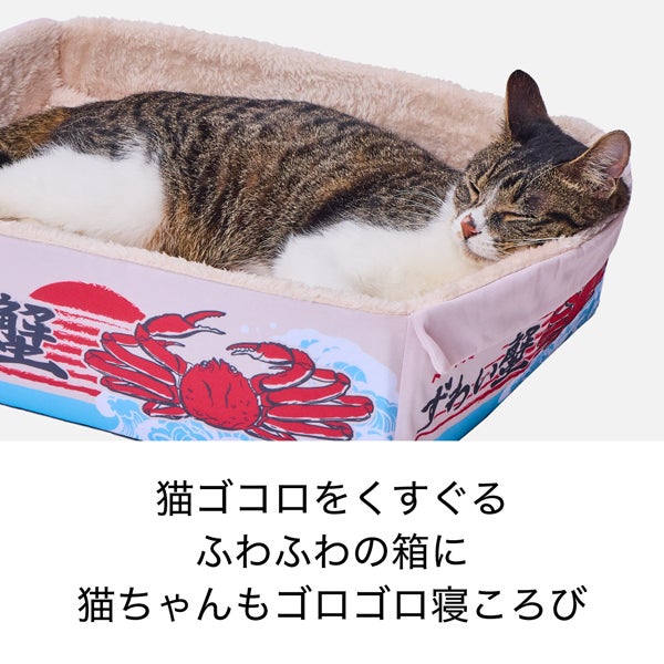商品イメージ