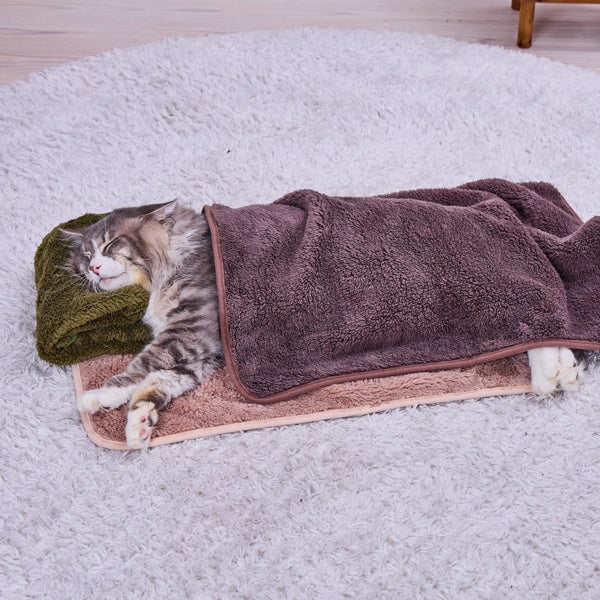 犬猫用毛布 アソートブランケット | ペティオ オンライン ショップ本店