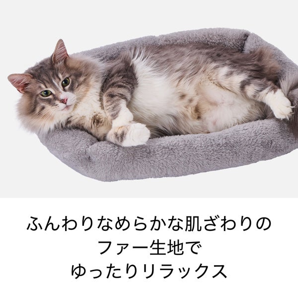 商品イメージ