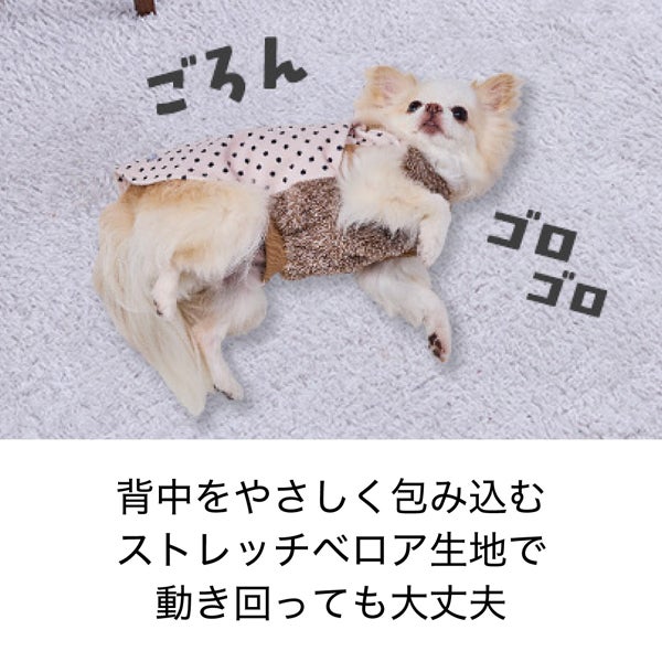 商品イメージ