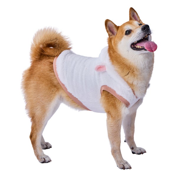 商品イメージ