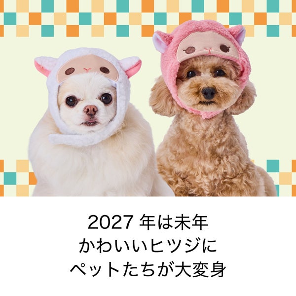 商品イメージ