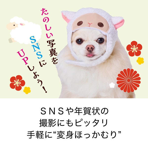 商品イメージ
