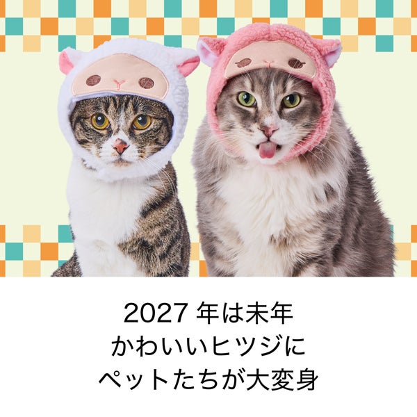 商品イメージ