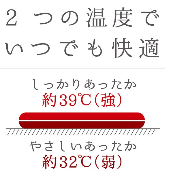 商品イメージ