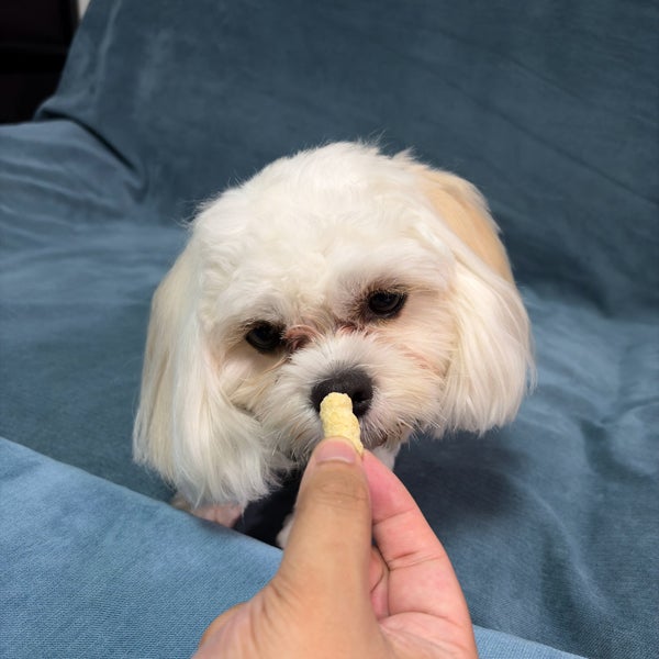 商品イメージ