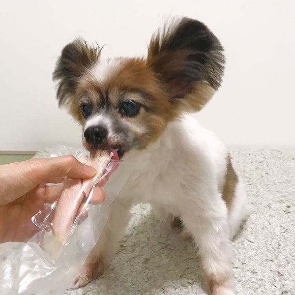 商品イメージ
